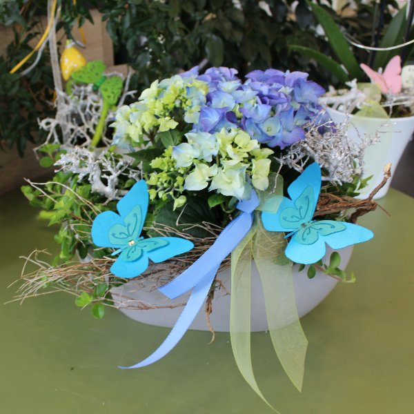 Pflanzschale mit blauer Hortensie Bild 1